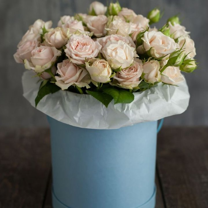 Бокс с бомбастиком в Грозные