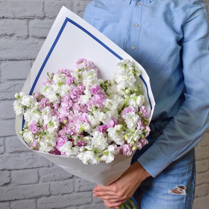 Маттиола в Грозные