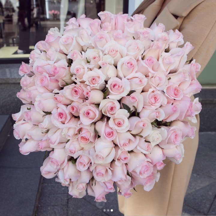 Розы "Пинк бум" в Грозные