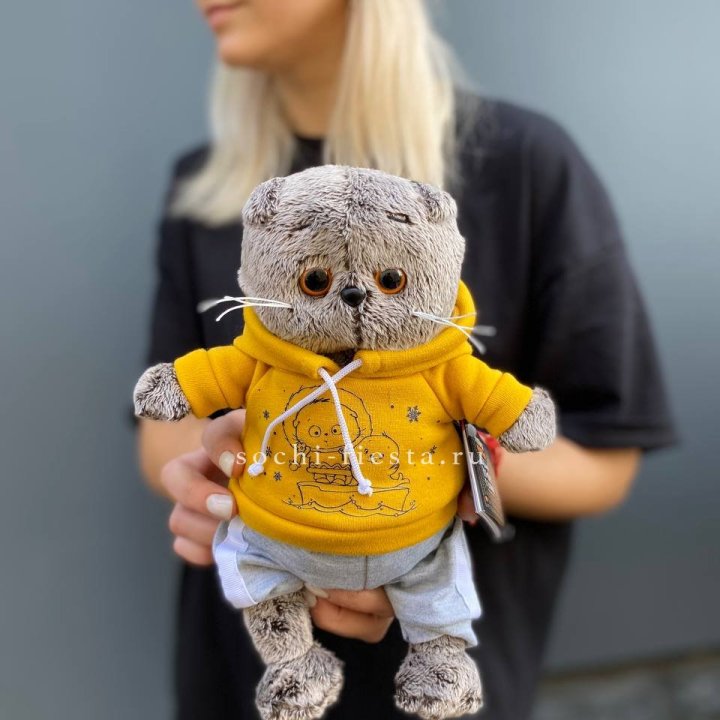 Кот Басик в худи в Грозные