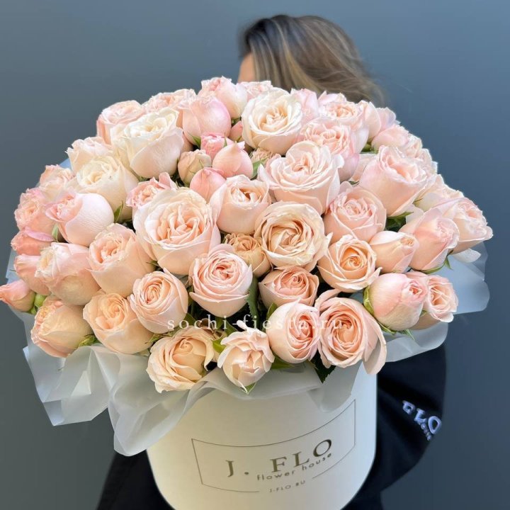 Бомбастик бокс Премьер в Грозные