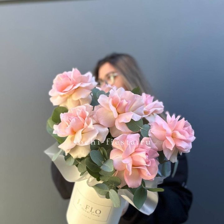 Французские роз в боксе в Грозные