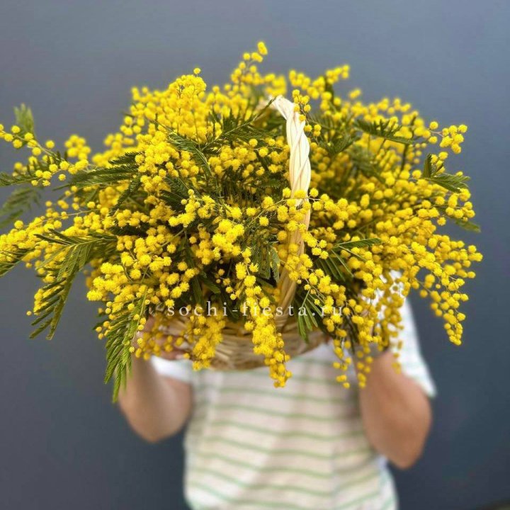 Весенняя корзина мимозы в Грозные