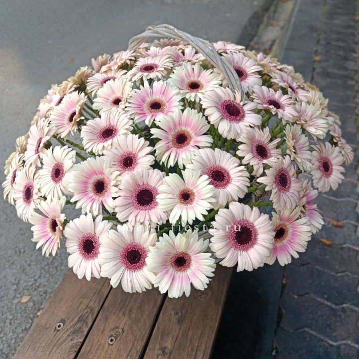 Корзина с герберами  в Грозные