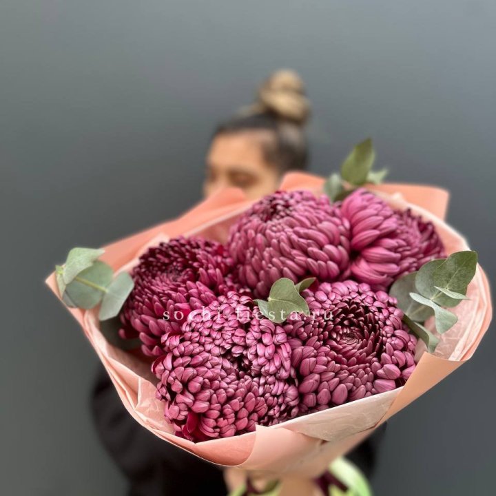 Хризантемы  Бигуди  в Грозные