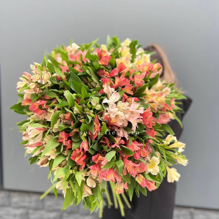 51 альстромерия в Грозные