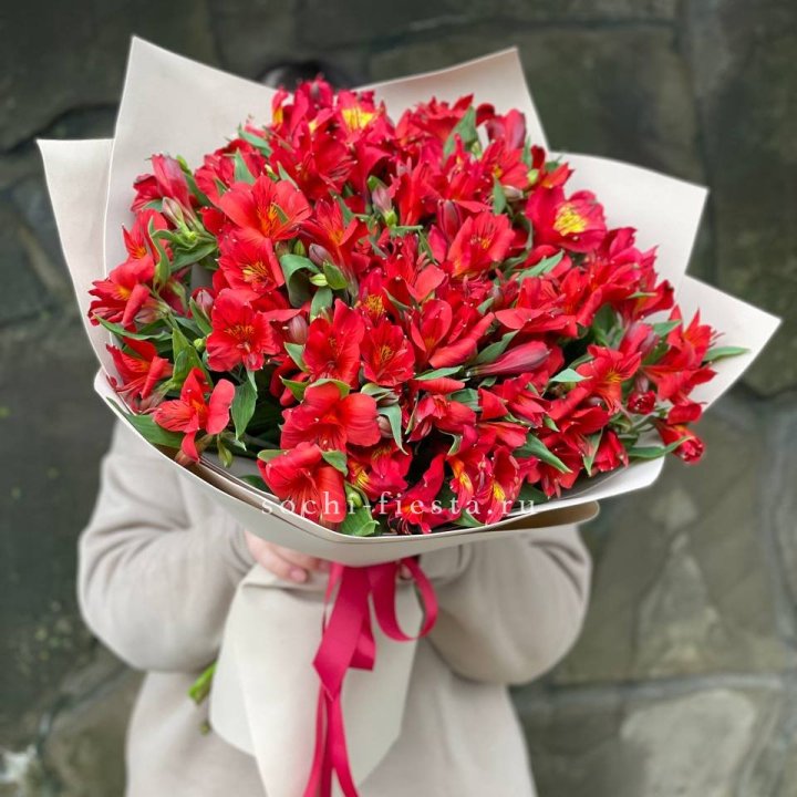 51 альстромерия в Грозные