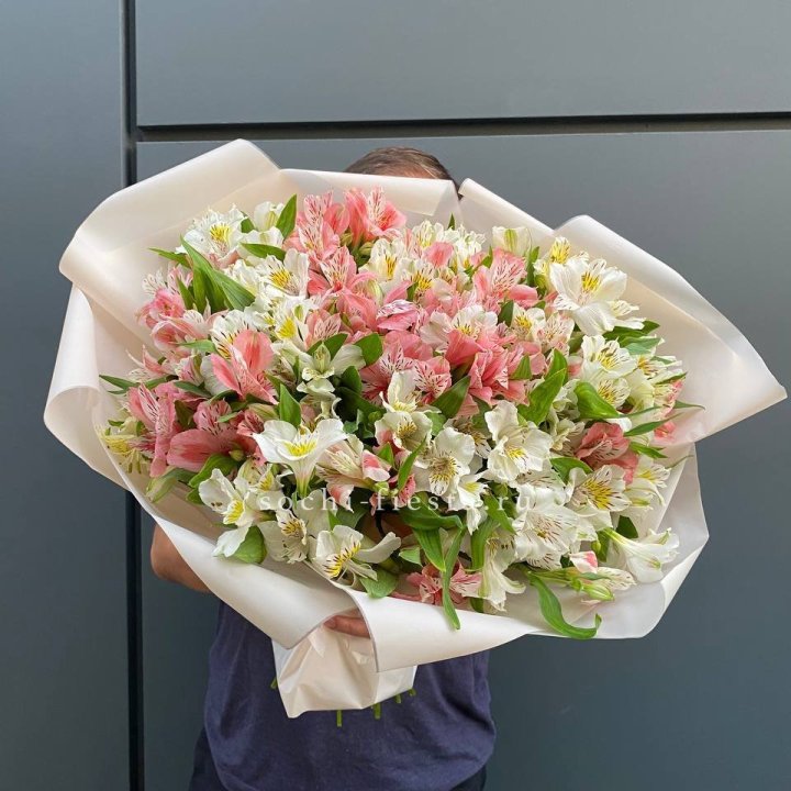 39 альстромерий в Грозные