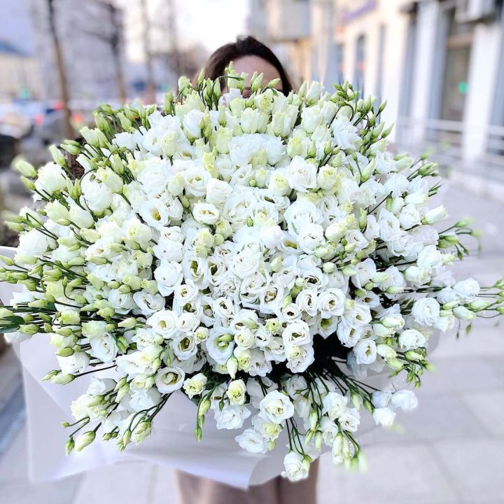 101 белая эустома в Грозные