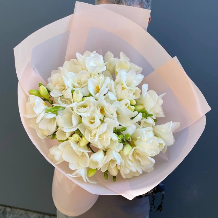 Букет белых фрезий  в Грозные