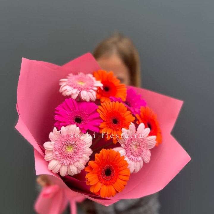 Краски в Грозные