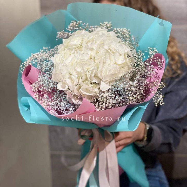 Гортензия "Райдов" в Грозные