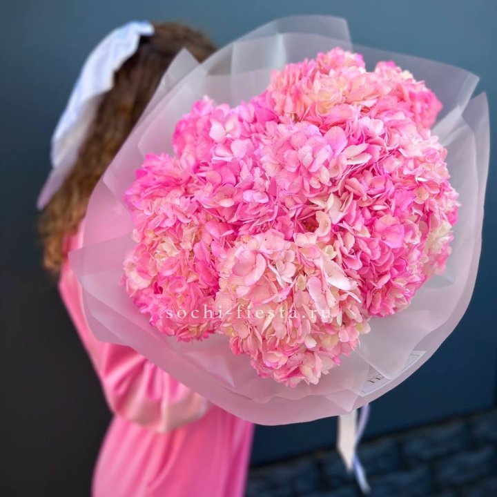 7 ярко розовых гортензий в Грозные