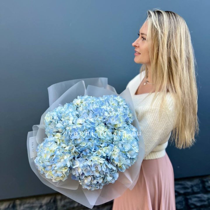 7 голубых гортензий в Грозные