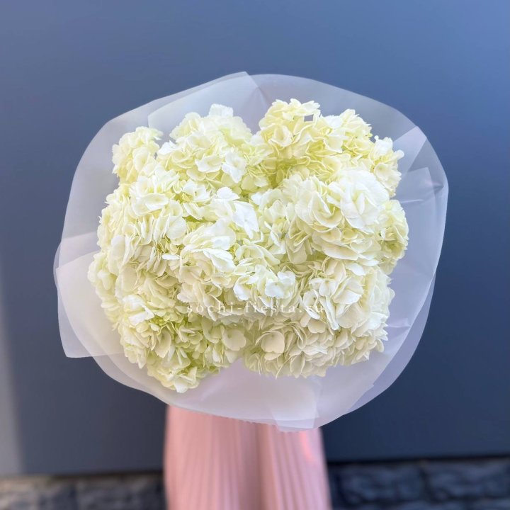 7 белых гортензий в Грозные