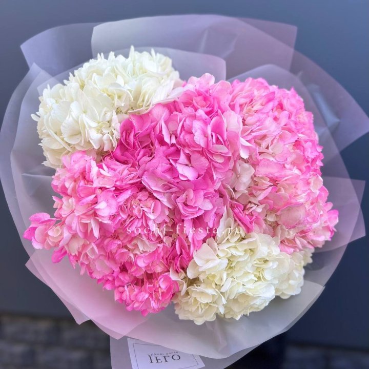 5 бело-розовых гортензий в Грозные