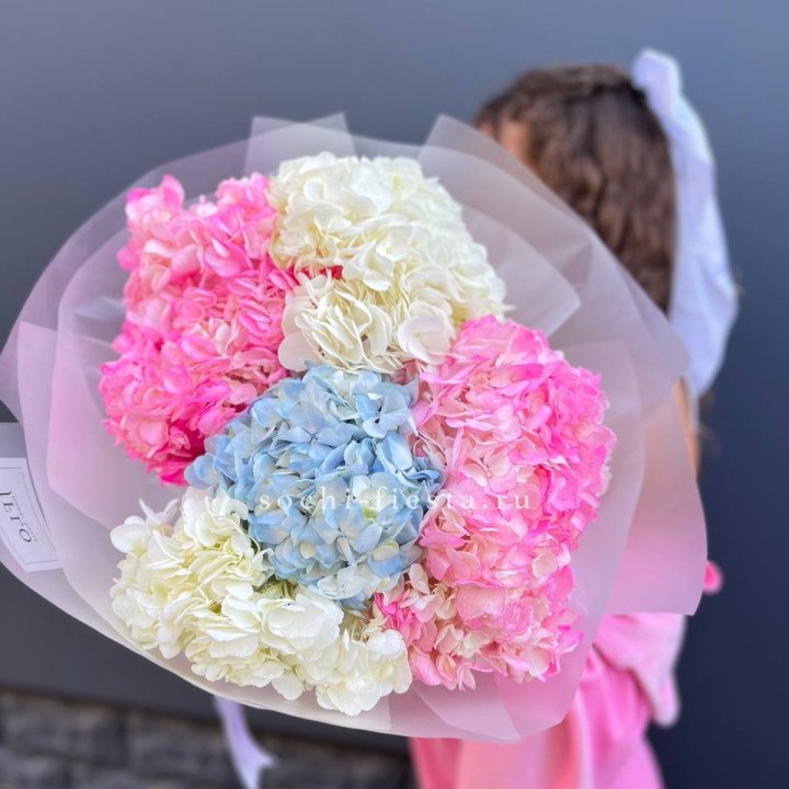 7 гортензий микс в Грозные