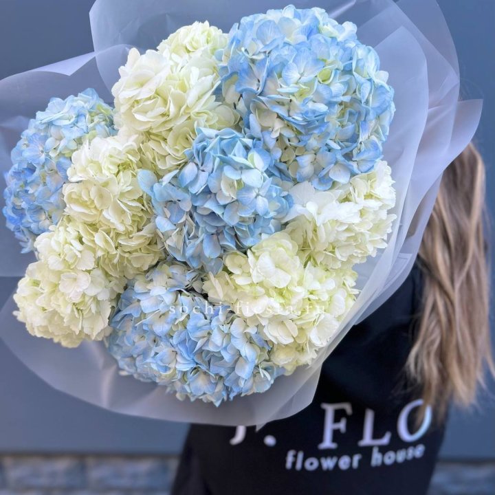 9 бело-голубых гортензий в Грозные