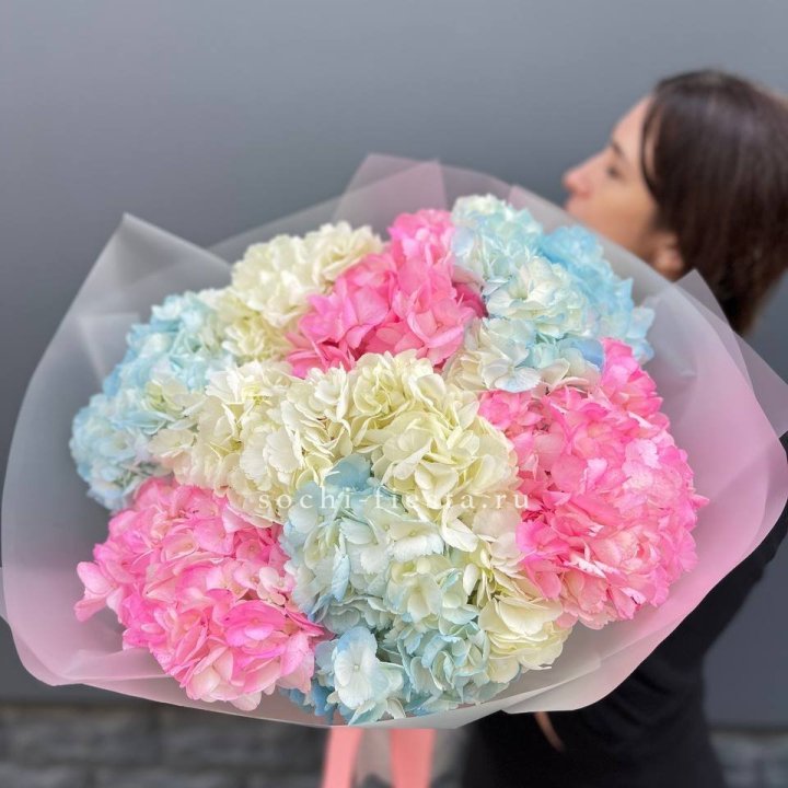 9 гортензий микс в Грозные