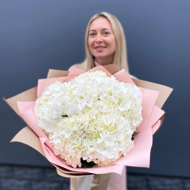 Гортензия белая в Грозные