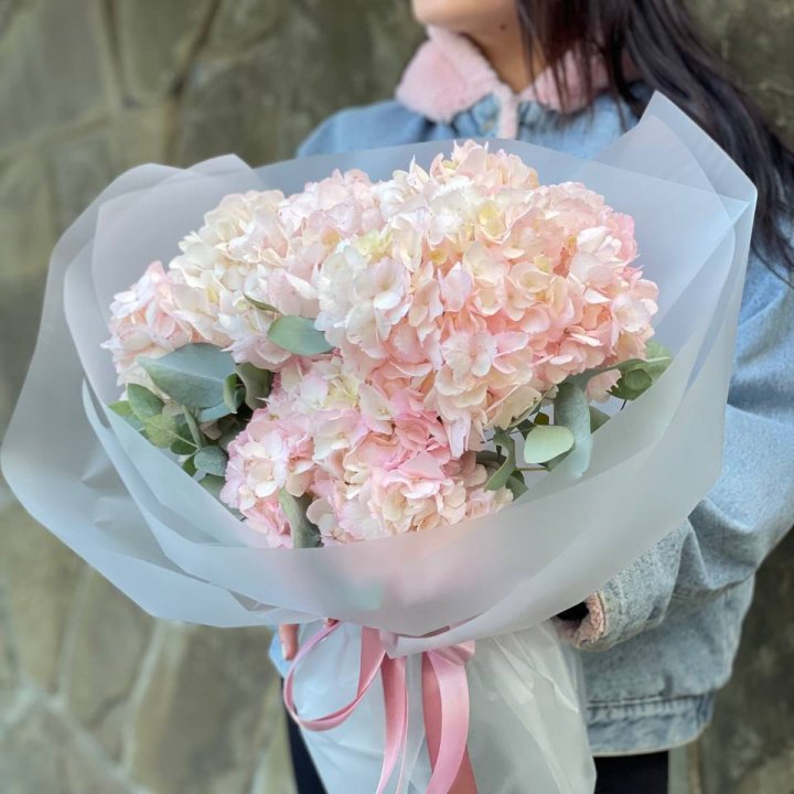 5 розовых гортензий в Грозные