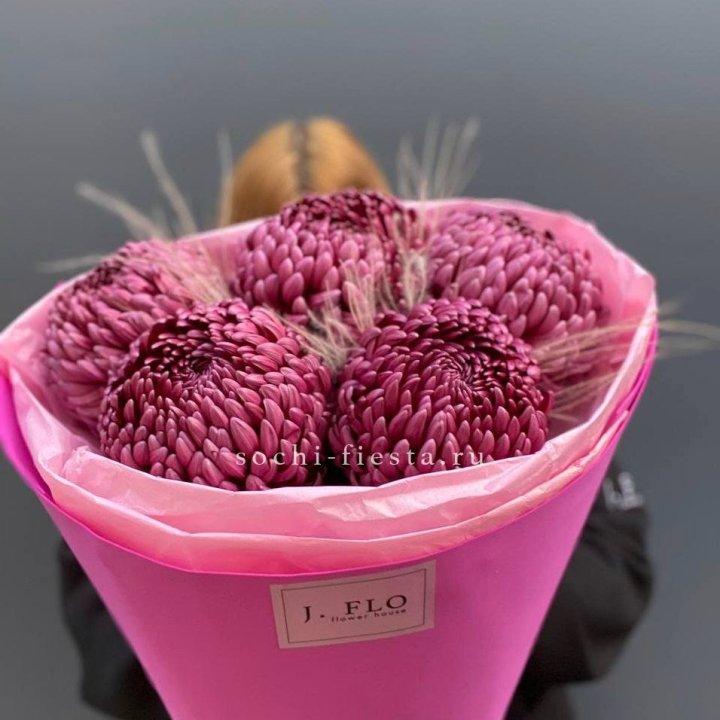 Хризантемы  Бигуди с стифой в Грозные