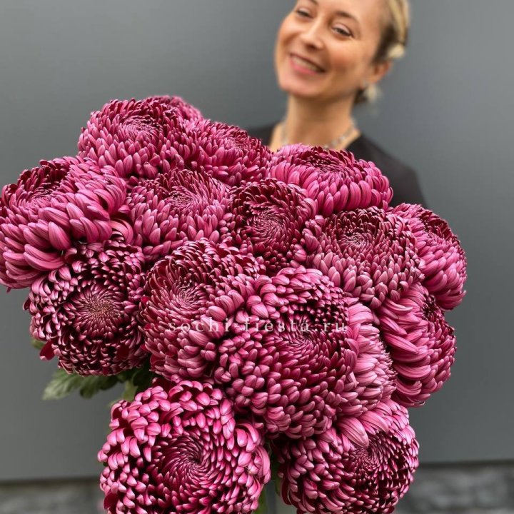 Охапка хризантем Бигуди в Грозные