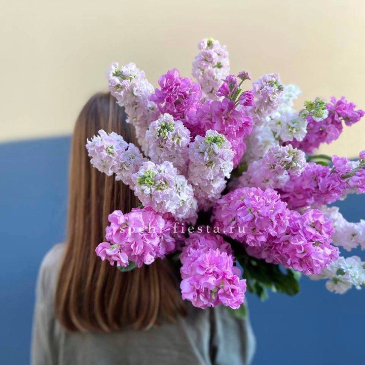 Охапка маттиолы в Грозные