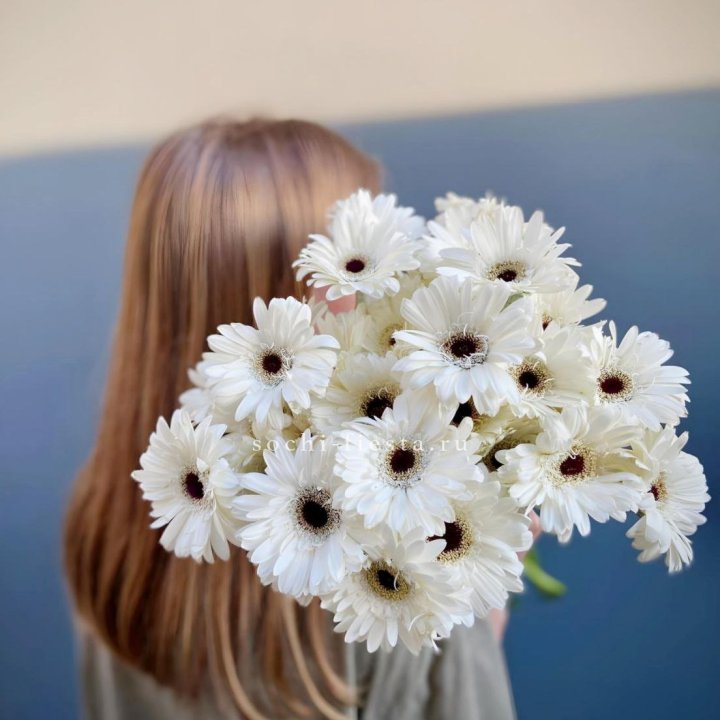 Охапка гербер в Грозные