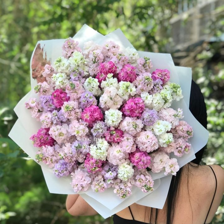 Букет ароматной маттиоллы №3 в Грозные