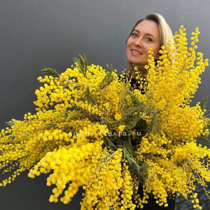 Охапка мимозы №2 в Грозные