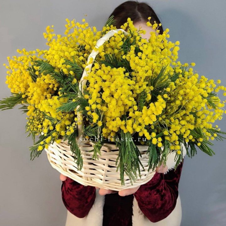 Корзина ароматной мимозы в Грозные