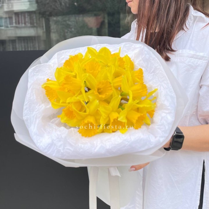 Нарциссы 25 шт в Грозные