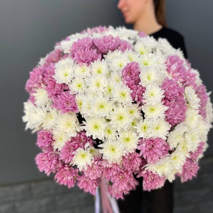  Букет 25 хризантем микс в Грозные