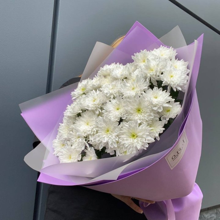  7 хризантем  в Грозные