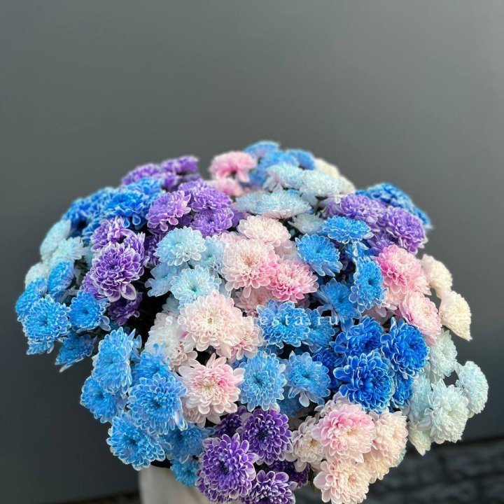 25 цветных хризантем в Грозные