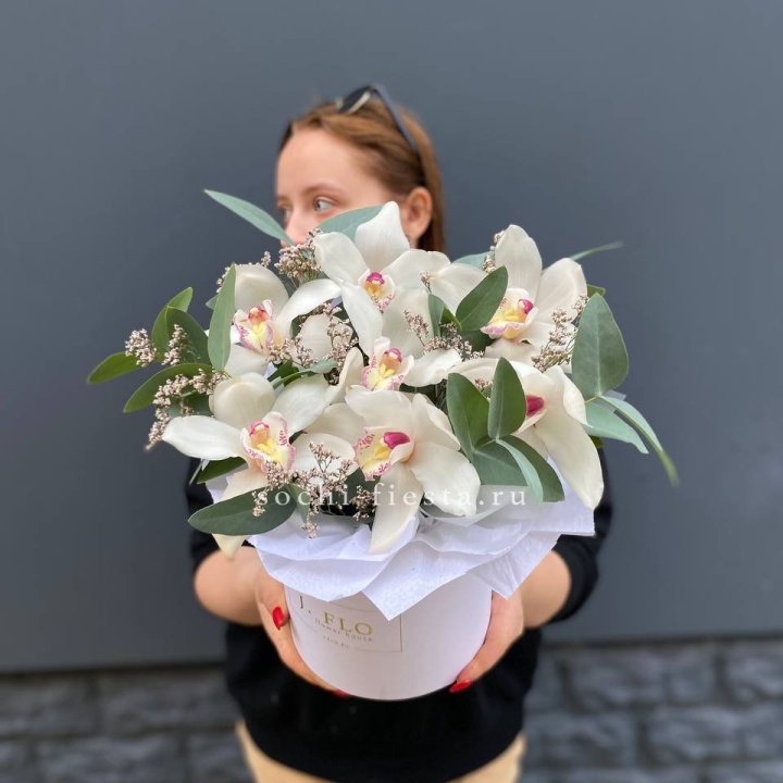 7 орхидей в боксе в Грозные