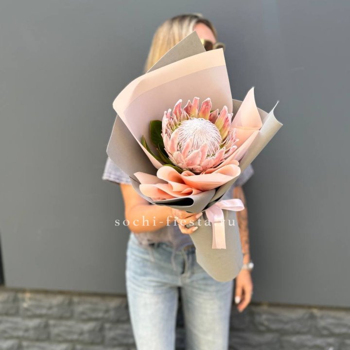 Протея мини  в Грозные