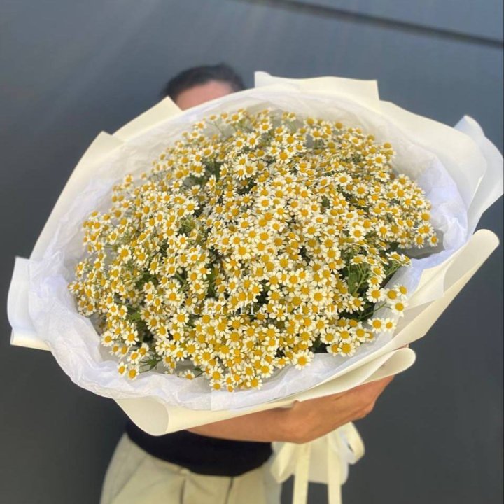 Букет ромашек №2 в Грозные