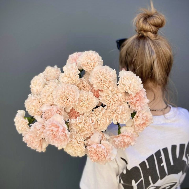 Охапка диантусов  в Грозные