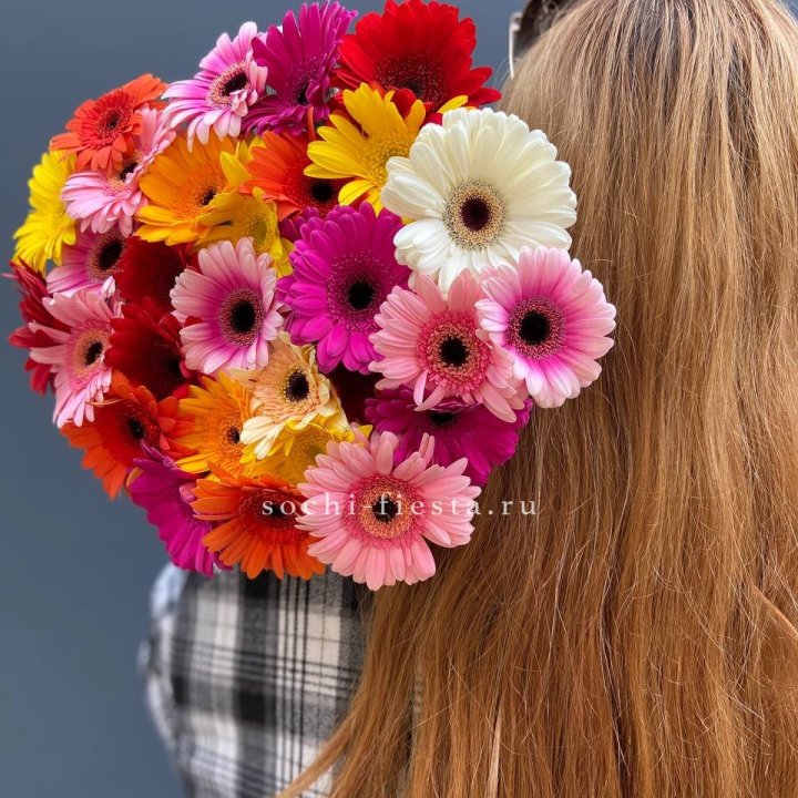 Охапка гербер  в Грозные