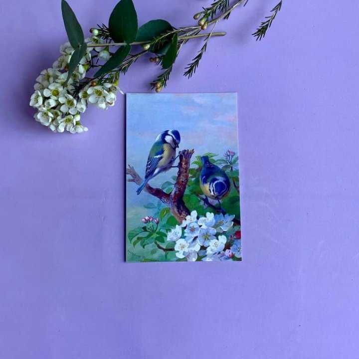 Открытка к букету "Птицы" в Грозные