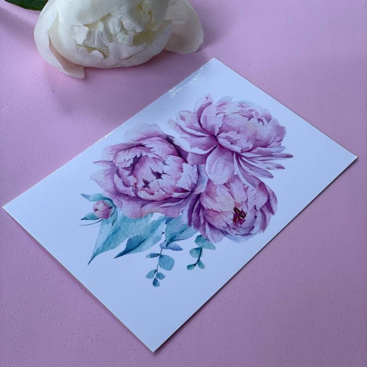 Открытка к букету "Пионы" в Грозные