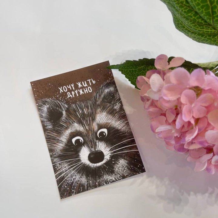 Открытка к букету "Енотик" в Грозные