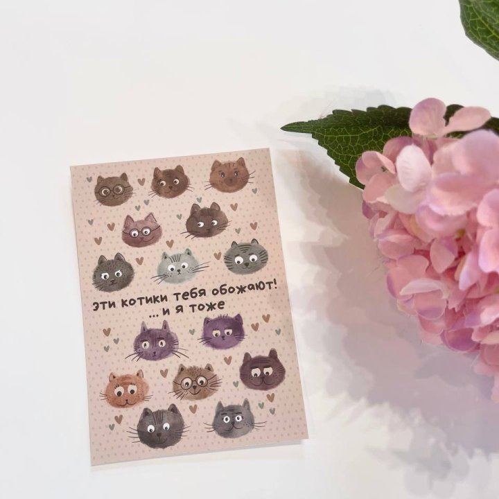 Открытка к букету "Котики" в Грозные