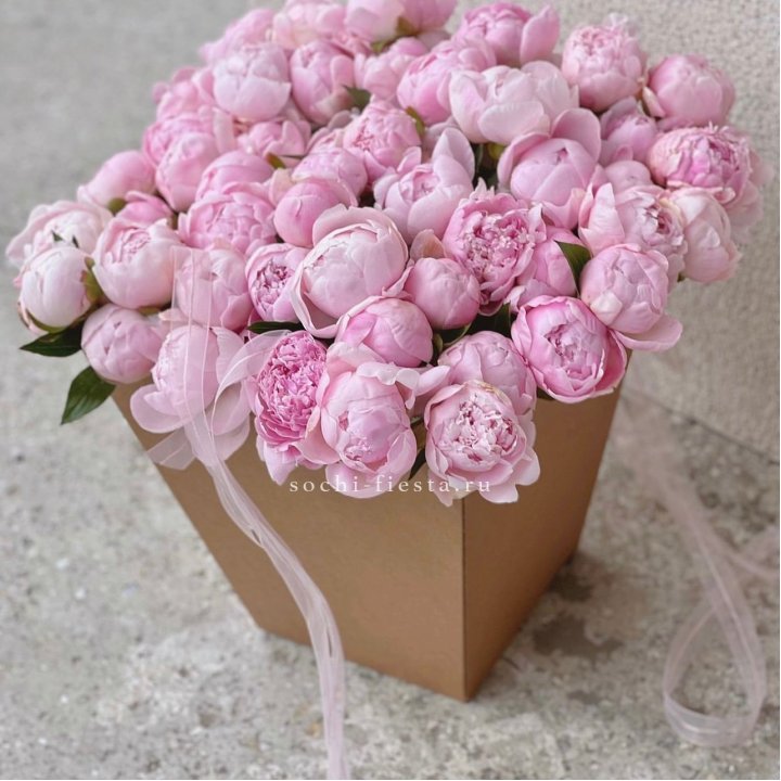 49 пионов в крафт коробке в Грозные