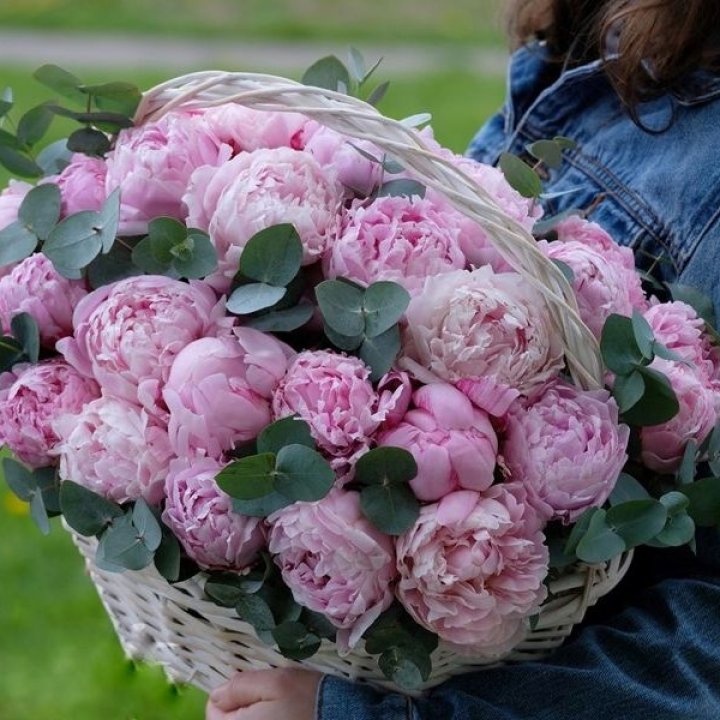 51 пион в корзине в Грозные