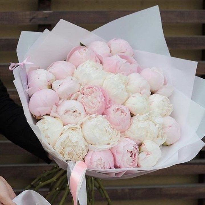 29 пионов в Грозные