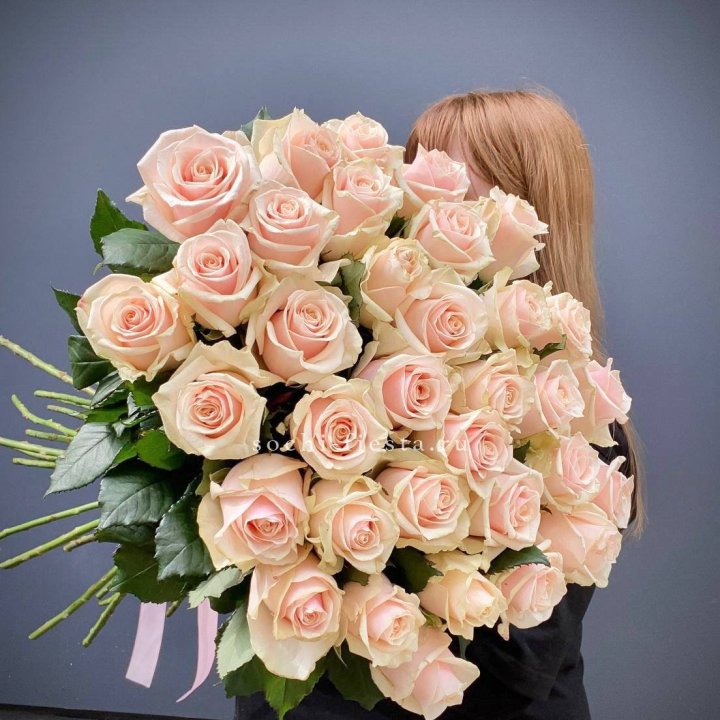 35 кремовых высоких роз в Грозные
