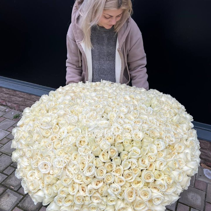 501 белая роза в корзине в Грозные